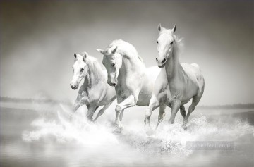 150の主題の芸術作品 Painting - 黒と白で走る白い馬